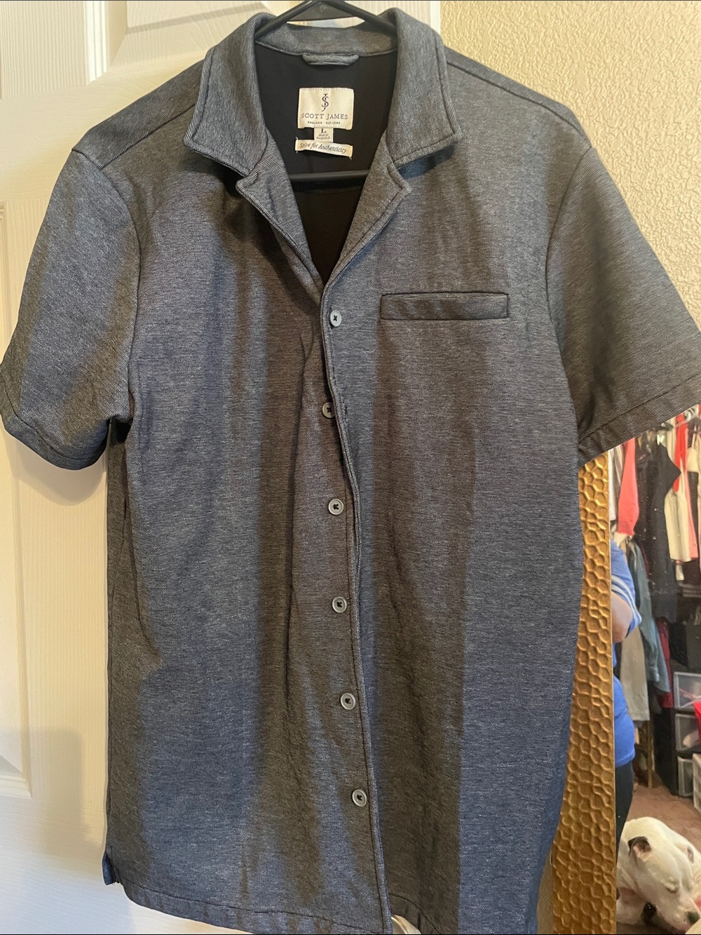 Scott James  Button Shirt - Charcoal Gray